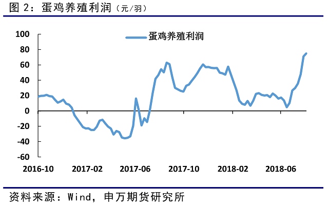 受鸡蛋价格上涨的影响，养殖利润在8月一路上行至70元/羽以上，预计9月养殖利润仍然维持较高水平。从去年8月开始，鸡蛋牛市已经持续一年时间。