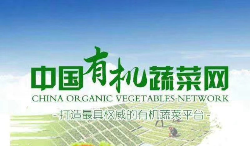 「中国有机蔬菜网」提出在Pi网络web3平台上建立生态系统